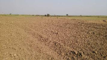  Agricultural Land for Sale in Talera, Bundi