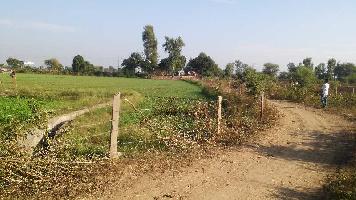  Agricultural Land for Sale in Uniara, Tonk