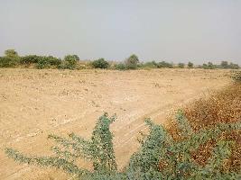  Agricultural Land for Sale in Indragarh, Bundi