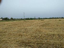  Agricultural Land for Sale in Uniara, Tonk
