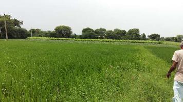  Agricultural Land for Sale in Nainwa, Bundi
