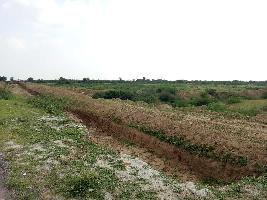  Agricultural Land for Sale in Kapren, Bundi