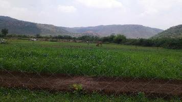  Agricultural Land for Sale in Borkhera, Kota
