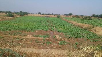  Agricultural Land for Sale in Kishanganj, Baran