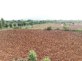  Agricultural Land for Sale in Peeplu, Tonk