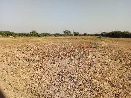  Agricultural Land for Sale in Gangapur City, Sawai Madhopur