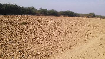  Agricultural Land for Sale in Niwai, Tonk