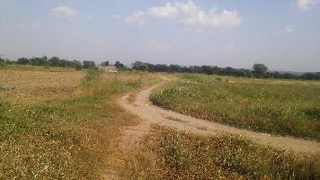  Agricultural Land for Sale in Sangod, Kota