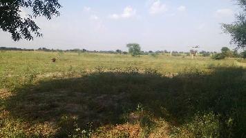  Agricultural Land for Sale in Beawar, Ajmer