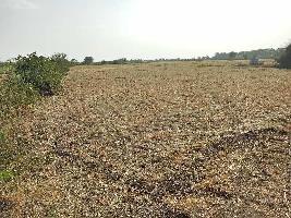 Agricultural Land for Sale in Asind, Bhilwara