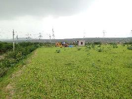  Agricultural Land for Sale in Shastri Nagar, Bhilwara