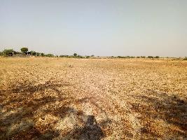  Agricultural Land for Sale in Kotri, Bhilwara