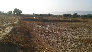  Agricultural Land for Sale in Suwana, Bhilwara