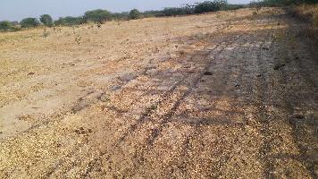  Agricultural Land for Sale in Lakheri, Bundi