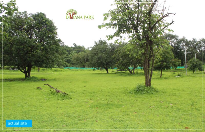  Residential Plot 2000 Sq.ft. for Sale in Murbad, Thane