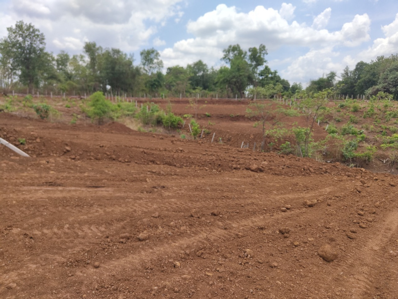  Agricultural Land 20 Guntha for Sale in Murbad, Thane