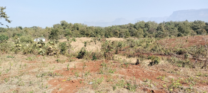  Agricultural Land 20 Guntha for Sale in Shahapur, Thane