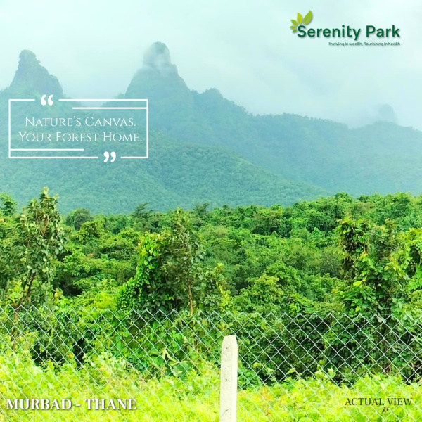  20000 Sq.ft. Agricultural/Farm Land for Sale in Kasara Budruk, Thane