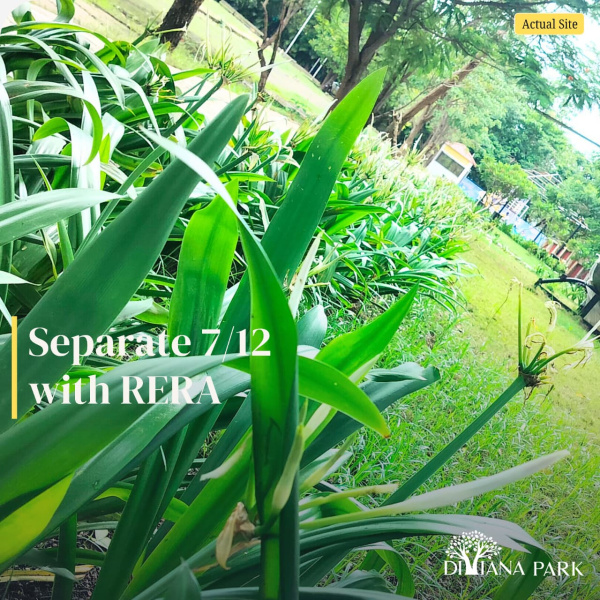  2000 Sq.ft. Residential Plot for Sale in Shahapur, Thane