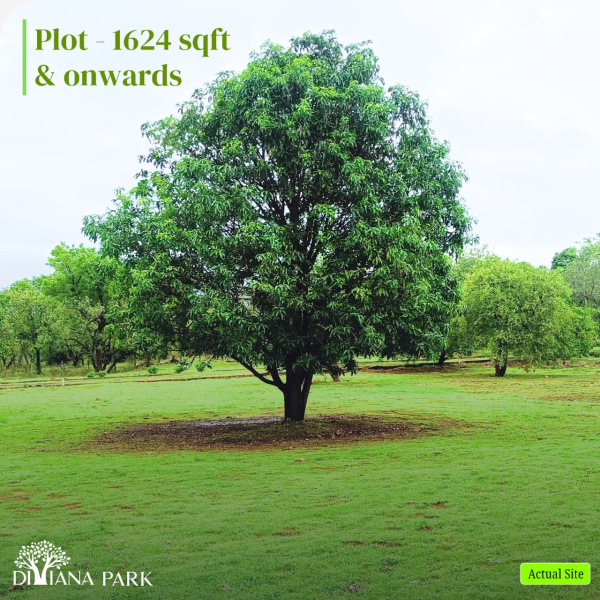  1624 Sq.ft. Residential Plot for Sale in Karjat, Mumbai