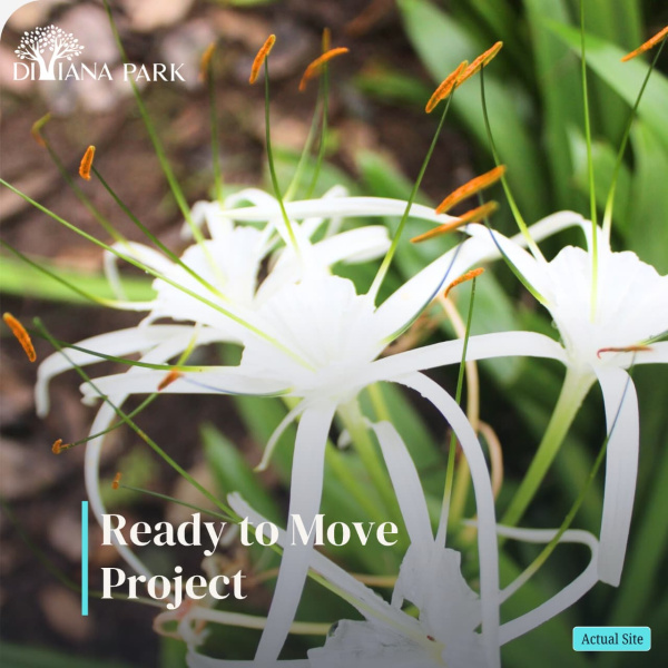  4000 Sq.ft. Residential Plot for Sale in Saralgaon, Murbad, Thane