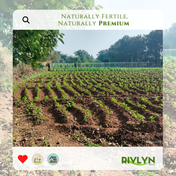  87120 Sq.ft. Agricultural/Farm Land for Sale in Shahapur, Thane