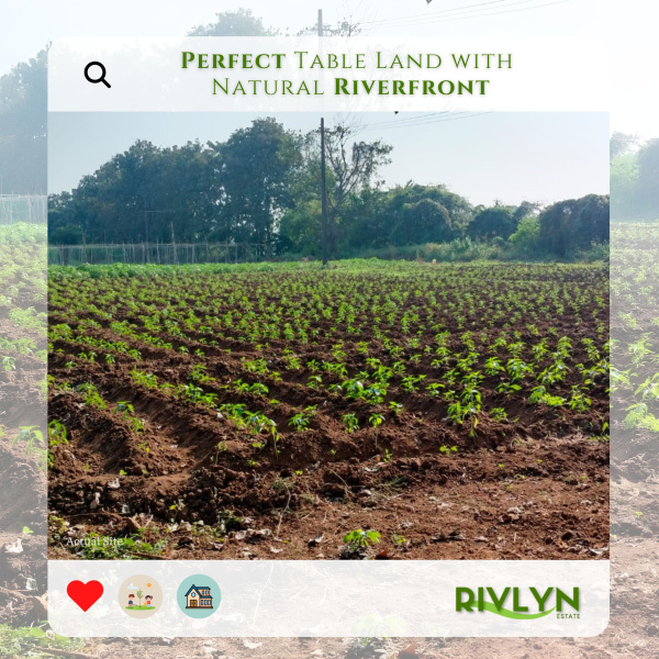  21780 Sq.ft. Agricultural/Farm Land for Sale in Karjat, Raigad