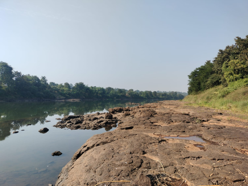  2 Acre Agricultural/Farm Land for Sale in Shahapur, Thane