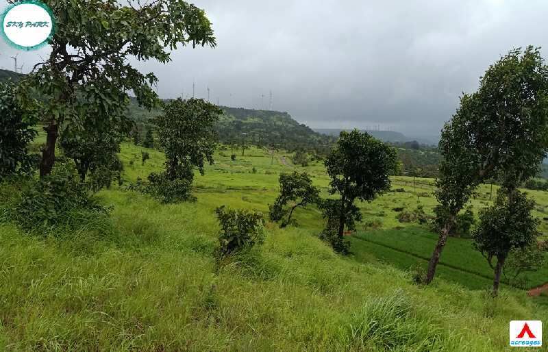  Agricultural Land 20000 Sq.ft. for Sale in Patan, Satara