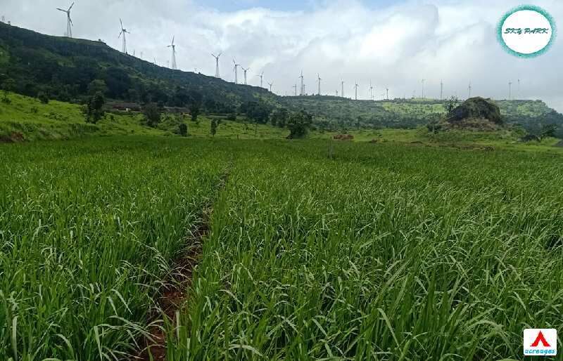  Agricultural Land 1 Acre for Sale in Satara Road, Pune