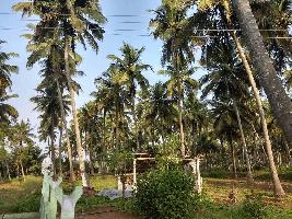  Agricultural Land for Sale in Kozhinjampara, Palakkad