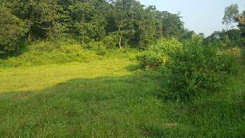  Commercial Land for Sale in Ramnagar, Nainital
