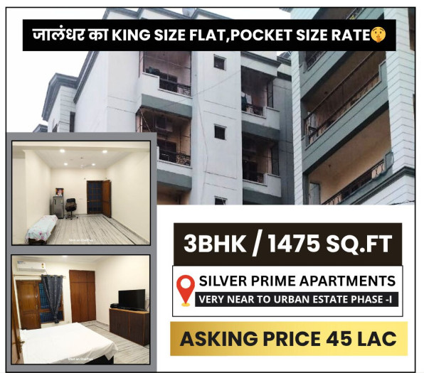 3 BHK Apartment 1475 Sq.ft. for Sale in Urban Estate Phase 1, Jalandhar