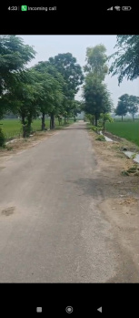  Agricultural Land for Sale in Nangal Purdil, Jalandhar