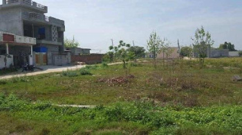  Residential Plot for Sale in Vijay Nagar, Jalandhar