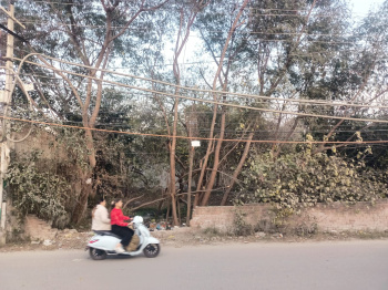 Residential Plot for Sale in GTB Nagar, Jalandhar