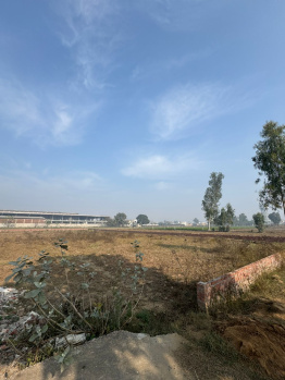  Residential Plot for Sale in Khurla Kingra, Jalandhar