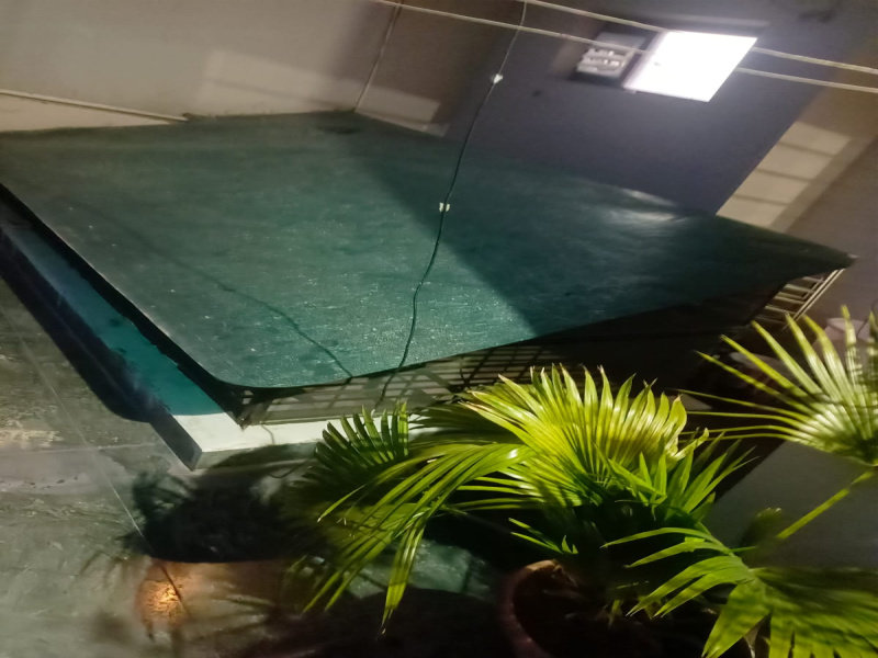 4 BHK 10 Marla House for Sale in Model Town, Jalandhar