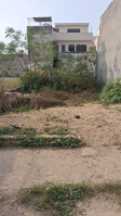 Residential Plot for Sale in 66 Feet Road, Jalandhar