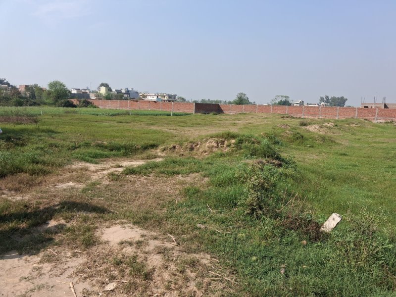  158 Marla Residential Plot for Sale in Main Road, Jalandhar