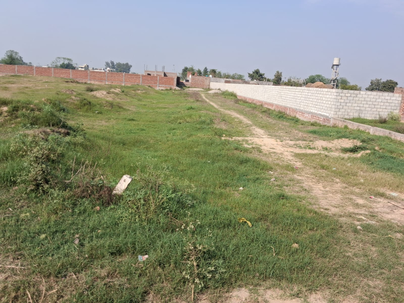  158 Marla Residential Plot for Sale in Main Road, Jalandhar