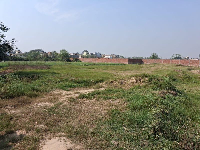  158 Marla Residential Plot for Sale in Main Road, Jalandhar