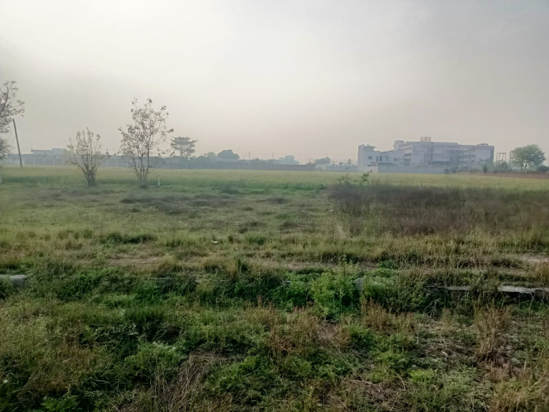  40 Marla Residential Plot for Sale in Urban Estate Phase 1, Jalandhar