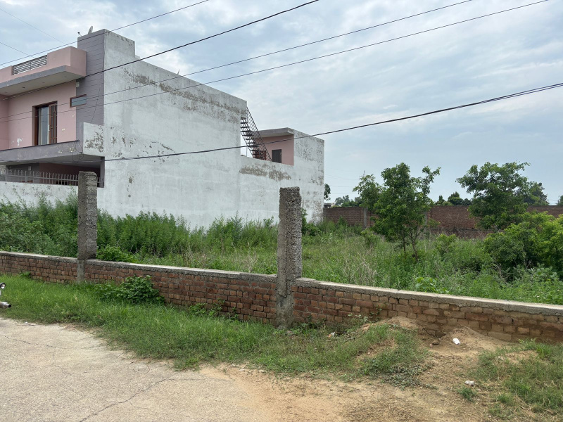  22 Marla Residential Plot for Sale in Gill Colony, Jalandhar