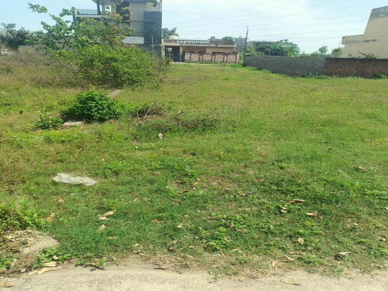  10 Marla Residential Plot for Sale in Pholriwal, Jalandhar