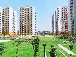 3 BHK Flat for Sale in Dharuhera, Rewari
