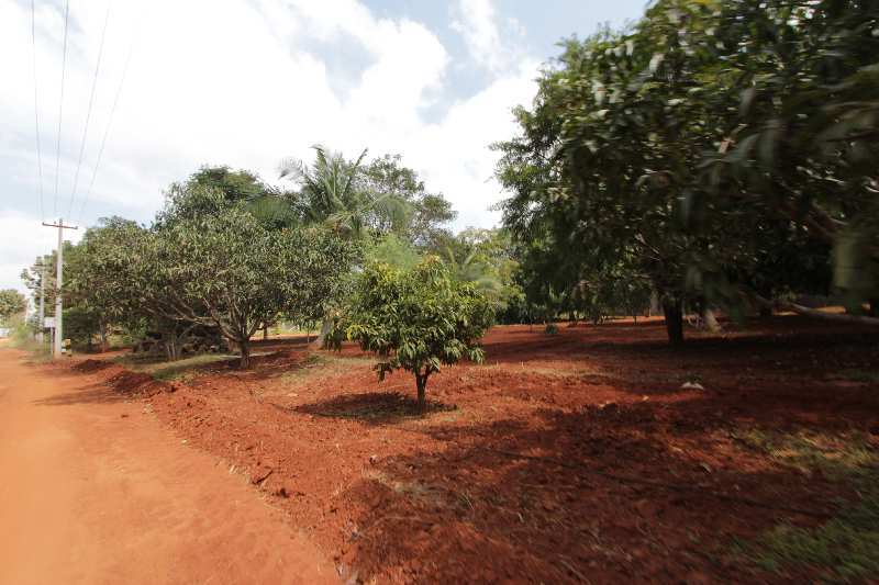 Agricultural Land 10890 Sq.ft. for Sale in Bagalur Road, Hosur (REI796177)