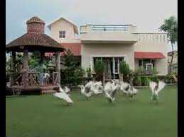 2 BHK Farm House 500 Sq. Yards for Sale in