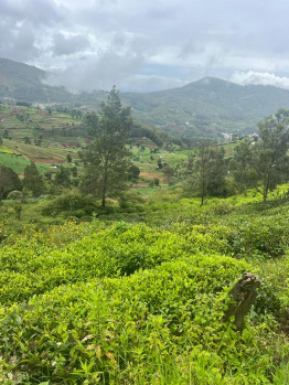  Agricultural Land for Sale in Thuneri, Ooty