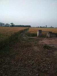  Agricultural Land for Sale in Khamanon, Fatehgarh Sahib